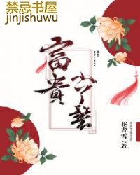 富贵小丫鬟小说讲什么的
